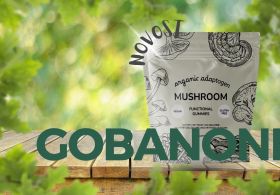 Samo še eni izmed funkcionalnih bonbonov na tržišču? Ampak ti vsebujejo samo gobe in so odličnega okusa!