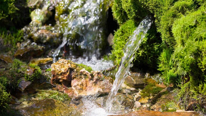 Datumi za zajetje zdravilne vode iz izvirov v letu 2017