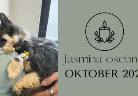 Jasmina osebno: oktober 2025