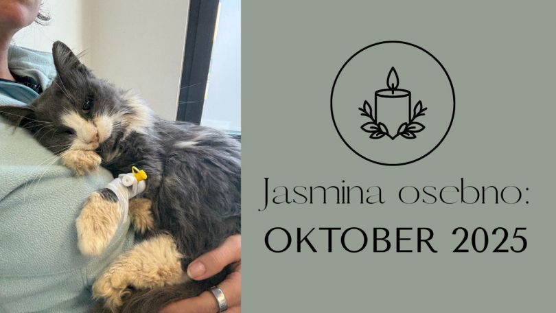 Jasmina osebno: oktober 2025