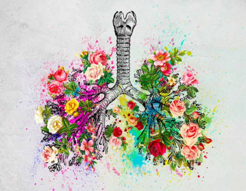 Maria Ana odgovarja: Kaj pomaga pri pljučni bolezni KOPB?