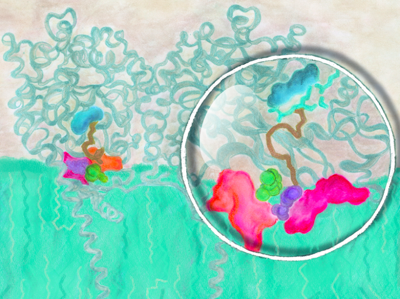 Ste depresivni? Morda je krivo črevesje!