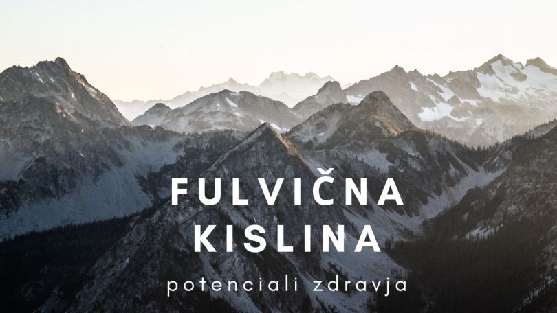 Terapevtski potencial fulvične kisline pri kroničnih vnetnih boleznih in sladkorni bolezni