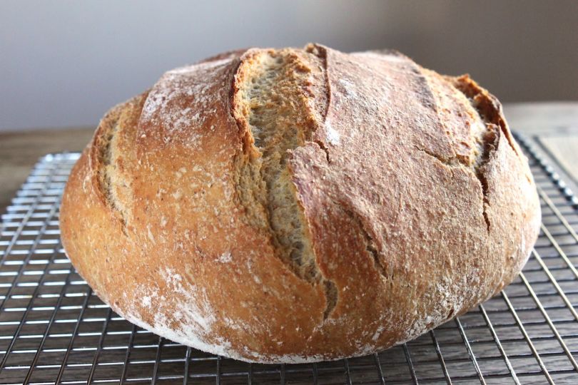 Je naš vsakdanji kruh biokemijsko orožje? Zapis raziskave Marije Ane Kolman!