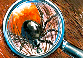 Maria Ana odgovarja: Kako se spopasti s posledicami klopnega meningitisa?