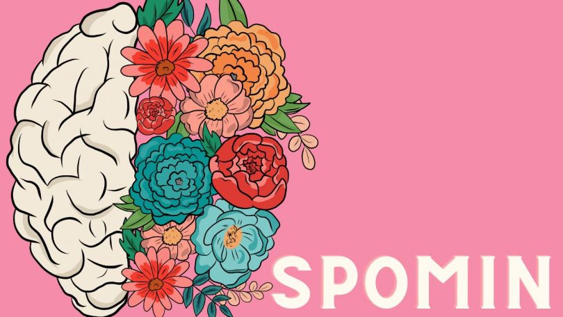 Kako izboljšamo spomin na naraven način? Marija Kočevar