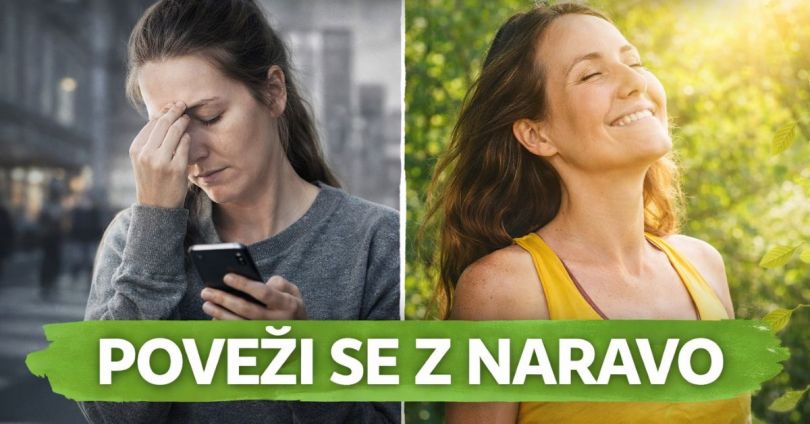 Kaj pomeni živeti bolj povezano z naravo (in zakaj to telo nujno potrebuje)