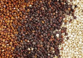 Naučimo se skupaj priprave zdravih obrokov