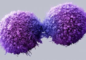 Vzrok raka odkrit že leta 1923!?!