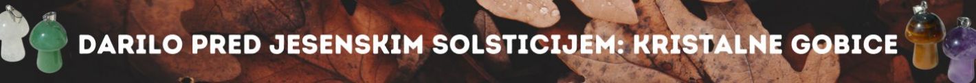 Darilo pred solsticijem