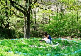 Kako rastline čutijo, pojejo in komunicirajo z nami?