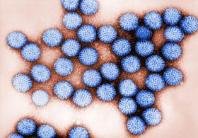 Maria Ana odgovarja: 2-letnik 2-mesečni otrok ter imunski sistem in rotavirus