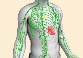 S tem organom so povezani celulit, gube, krčne žile in pretirana zaskrbljenost!