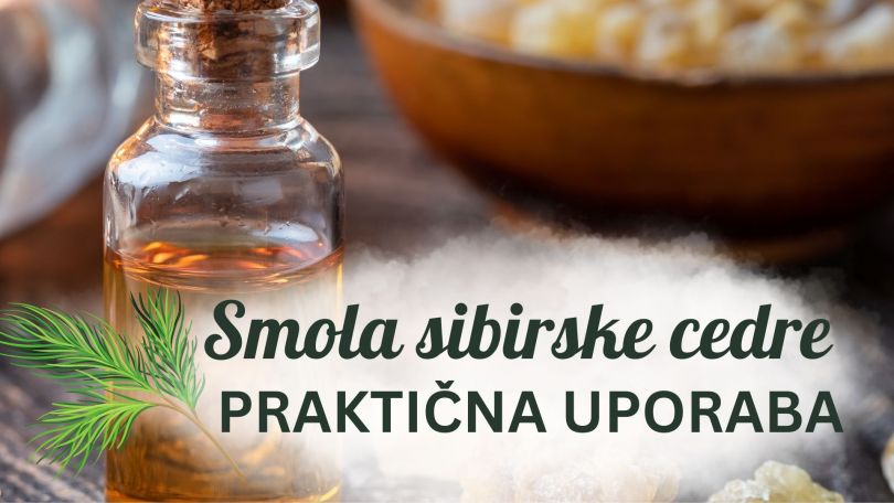 Smola sibirske cedre: uporaba in praktični nasveti