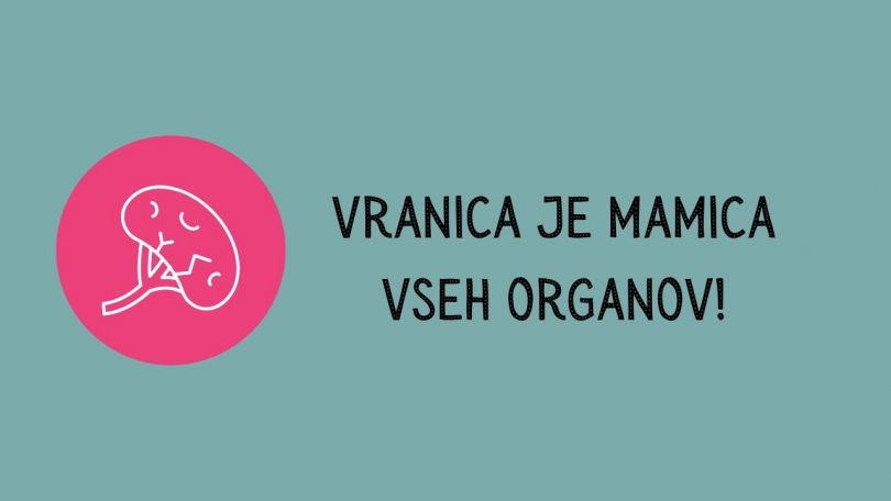 Kaj krepimo v februarju? Ključ do bolj mirnega življenja je vranica!