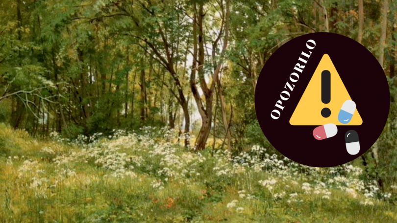 Dr. Korepanov opozarja — uživajte le preverjene rastline v obliki dopolnil!
