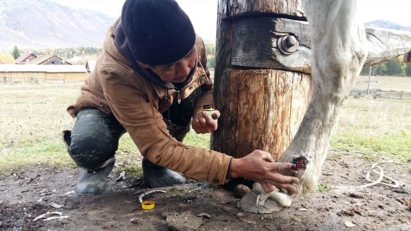 Moje izkušnje z mumijo/shilajitom iz potovanj okrog sveta (smešne in realne zgodbe)