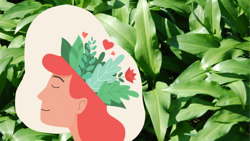 Nabiranje divje hrane v aprilu z Dariom Cortese + recept za čemažev pesto