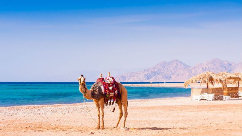 Podaljšajte poletje in poletite z nami v Egipt! Počitnice za dušo in telo