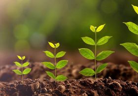 Za vse ljudi, ki bi radi zrasli v življenju! Poslovno, osebnostno, finančno ali pa če si zgolj želijo družino? ZLATA PRAVILA ZA RAST!