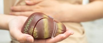 Kaj pa če so kriva jetra? Zakaj in kako jih boste rešili to pomlad in naredili največ, kar lahko?