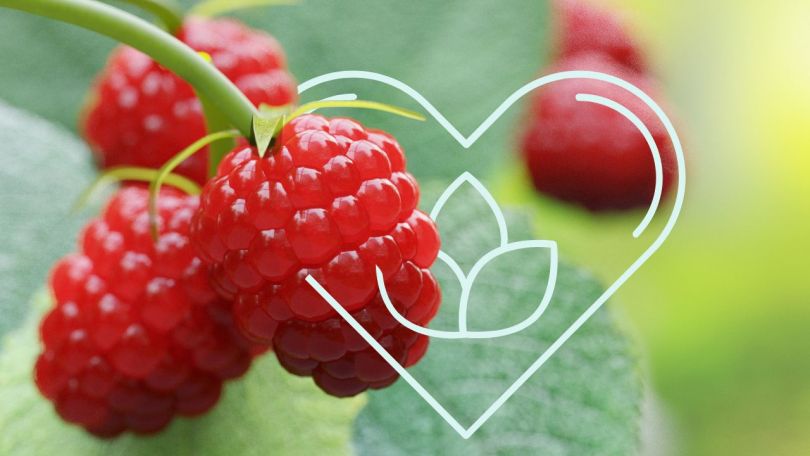 Energije meseca julija - mesec sproščenega vzdušja in romantične igrivosti