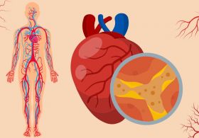 Poleti krepite ta organ in si podaljšajte življenje!