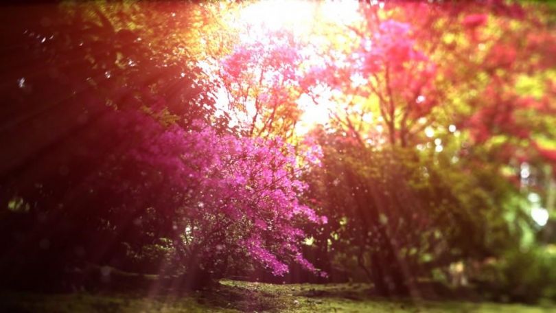 Čudovita zgodbica: MALA DUŠA IN SONCE, Neal Donald Walsche