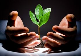 Kako do posla, kjer pomagaš drugim in zraven dobro zaslužiš?