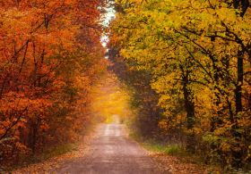 Poletje se uradno poslavlja danes ob osmih zvečer - to bi moral vedeti vsak o jesenskem času