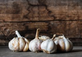 Česen- naravni antibiotik, ki so ga uporabljale že naše prababice