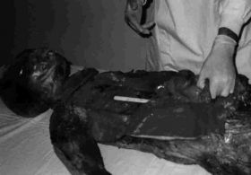 Nezemeljske aktivnosti v Sloveniji so pogoste, samo malo se o tem govori!