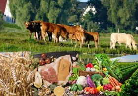 Ljudje, ali res ne vidimo, kaj smo naredili? Ali res ne želimo slišati resnice?