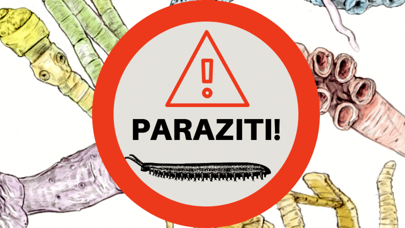 Temu problemu se ne smemo več izogibati, saj povzroča veliko več škode, kakor mislimo!