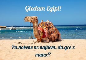 Gledam Egipt! Pa nobene ne najdem, da gre z mano!?