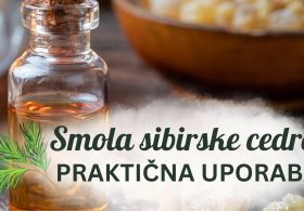 Smola sibirske cedre: uporaba in praktični nasveti