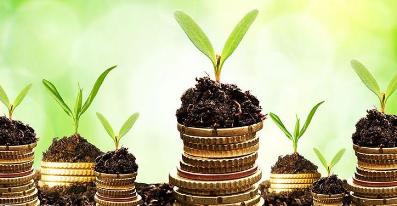 Obilje je naše naravno stanje!