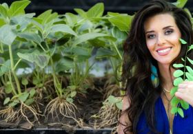 Jasmina razkriva: 1 leto po moji seansi z najmočnejšo rastlino na svetu - Ibogo!