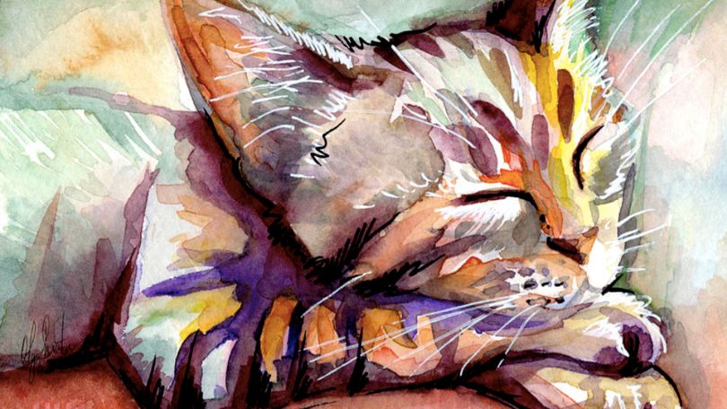 Maria Ana odgovarja: Paraziti pri psih in mačkah