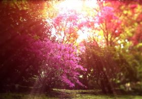 Čudovita zgodbica: MALA DUŠA IN SONCE, Neal Donald Walsche