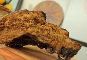 V ljudskem zdravilstvu se uporablja že 5600 let, zdaj preseneča vse sodobne znanstvenike!