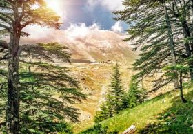 Mumija ali shijalit ter uporaba