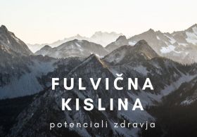 Terapevtski potencial fulvične kisline pri kroničnih vnetnih boleznih in sladkorni bolezni