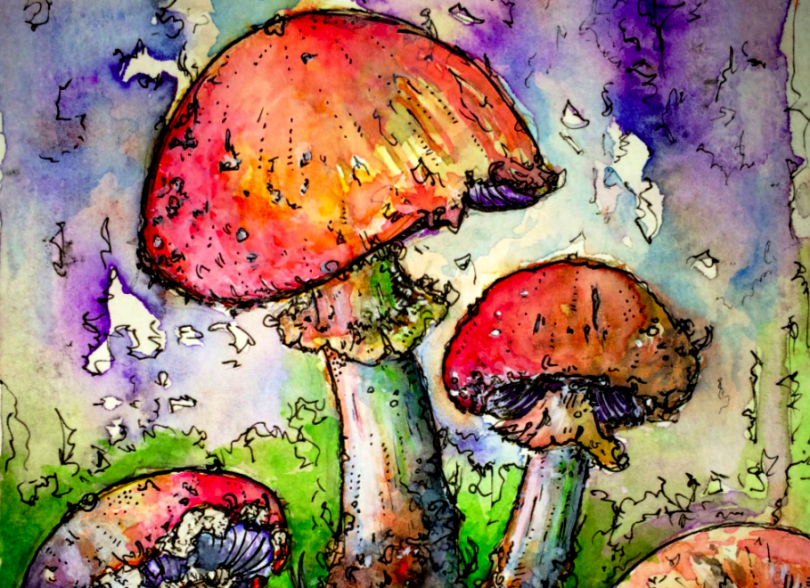 Bodo zdravilne gobe rešile svet?!