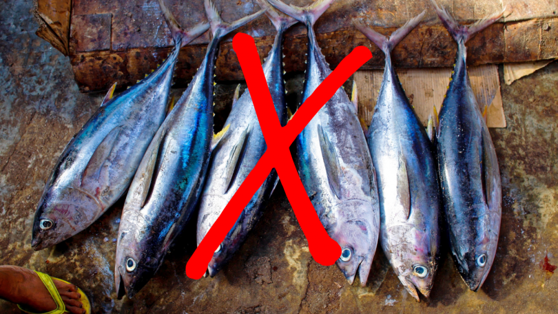 Hrana, ki vsebuje omega-3-maščobne kisline (in ni riba)! + VPLIV NA LEPOTO IN ZDRAVJE