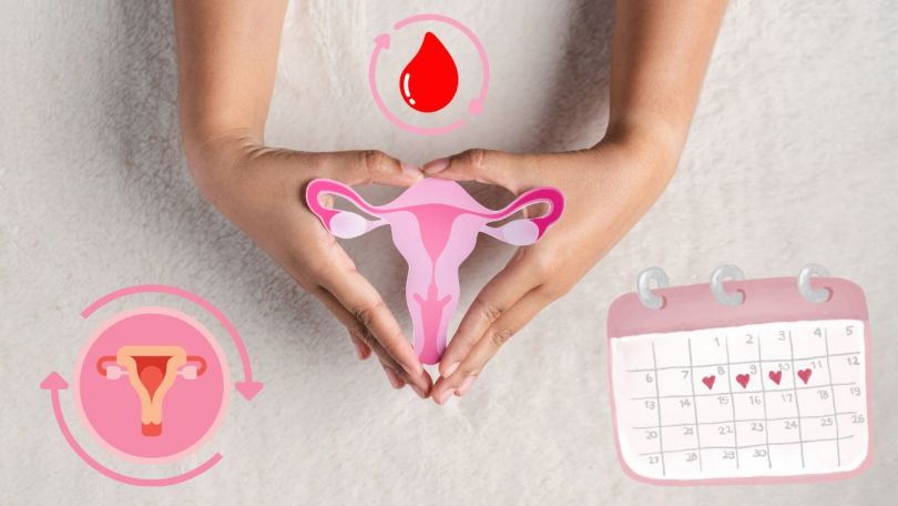 Kaj jesti v katerem delu menstrualnega cikla + info grafika