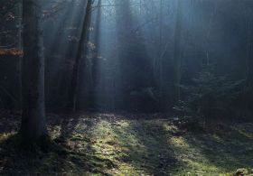 ČUDEŽNI SVET: Preprost recept za srečno in zdravo otroštvo