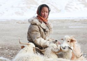 Kašmirjev šal: dragocenost ozaveščenih in luksuzni dodatek bogatih