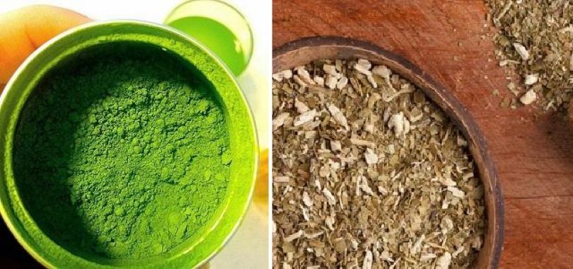Razlika med mate in matcha čajem