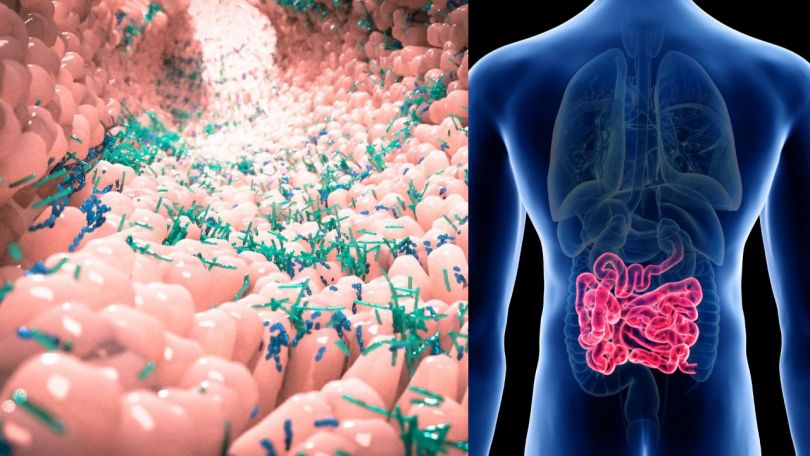 Jasminina osebna zgodba o cukru, mikrobiomu, njen plan in nenavaden video trebuha
